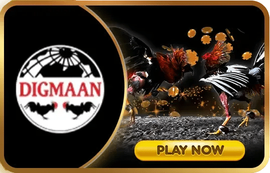 DIGMAAN